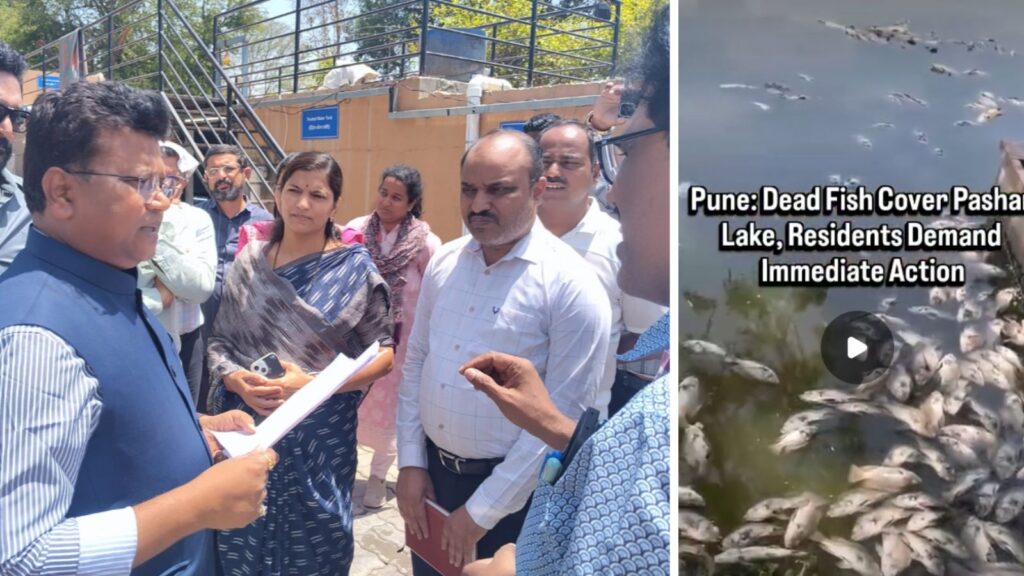 Pune Civic Body Suspends Two Engineers After STP Failure Pollutes Pashan Lake, Triggers Fish Deaths