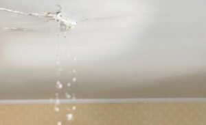 Flat With Leakage Or Cracks: Does RERA Gives Homebuyers Protection Against Builders?