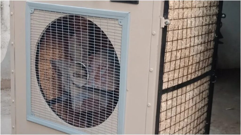 Silent Danger In Every Home? 5 Cooler Mistakes to Prevent That Can Turn Deadly This Summer