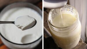 Why Does Homemade Curd Turn Watery? 4 Practical Tips to Get Thick, Creamy Curd Every Time