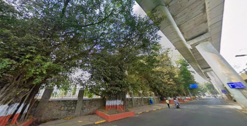 Pune: Citizens Raise Objection To Proposed Felling Of 530 Trees On Ganeshkhind Road