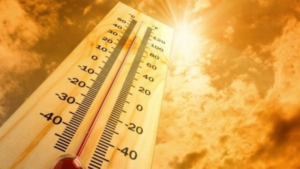 Weather Alert For April 14: Heatwave Intensifies Across Maharashtra; IMD Issues Yellow Alert for Few Districts