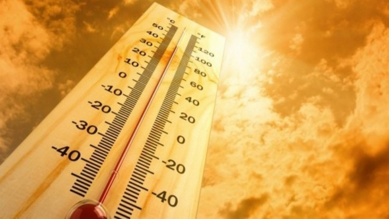 Weather Alert For April 14: Heatwave Intensifies Across Maharashtra; IMD Issues Yellow Alert for Few Districts