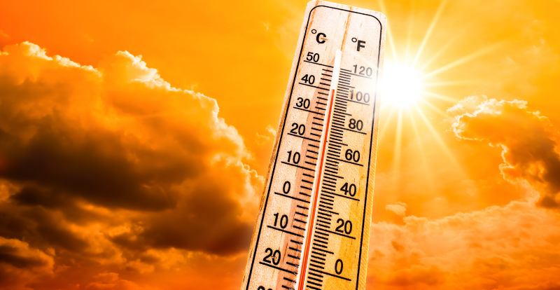 Heatwave Alert in Maharashtra: IMD Issues Yellow Alert for 15 Districts as Temperatures Set to Rise Further For April 16