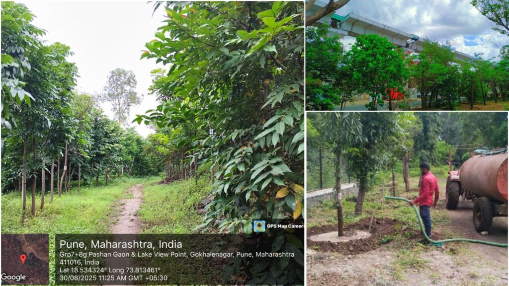 Pune: PMRDA Plants 5,500 Trees For Pune Metro Line 3; QR Code System Enables Public Tracking Of Green Cover  