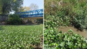Pune: Pashan STP Faces Failure During Trial; Sewage Discharge Into Lake Sparks NGT Compliance Concerns