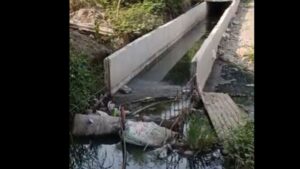 Pune: RTI Findings Link NHAI To Pashan Lake Fish Deaths, Expose Lapses In Sewage Management