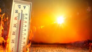 Pune Nears Heat Wave Conditions As Temperature Touches 41.8°C