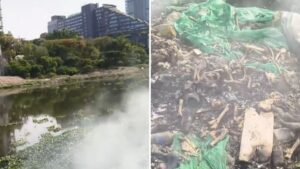 Pune: Suspicious Bones Found in Burning Waste Near Mula-Mutha River in Kalyani Nagar–Koregaon Park Area