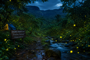 Thousands of Fireflies Light Up Maharashtra's Forests