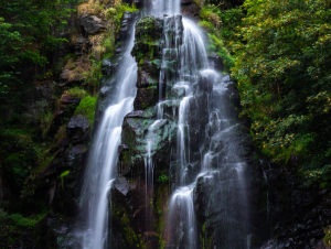 Monsoon Getaways Near Pune: Explore Waterfalls, Misty Ghats And Scenic Treks This Rainy Season