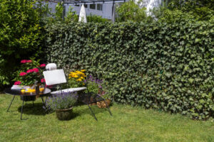 Skip the Fence: Turn Your Backyard Into a Living, Fruit-Filled Privacy Wall