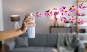 Make Natural Air Freshener With Camphor And Lemon, Eliminate Odours In Minutes
