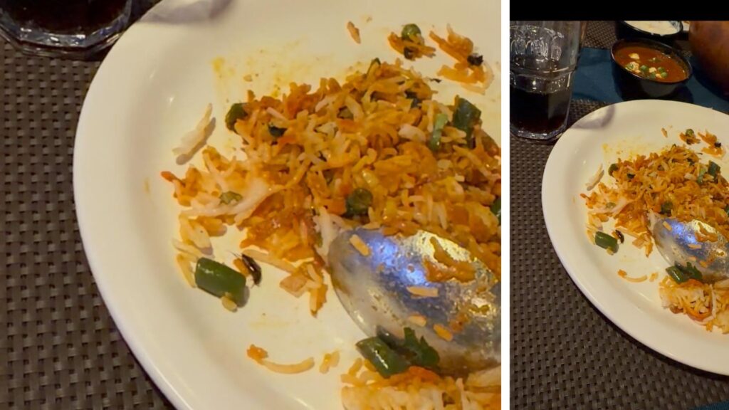 Pune: Customer Alleges Cockroach Found In Biryani At Mohamadwadi Restaurant, Raises Hygiene Concerns