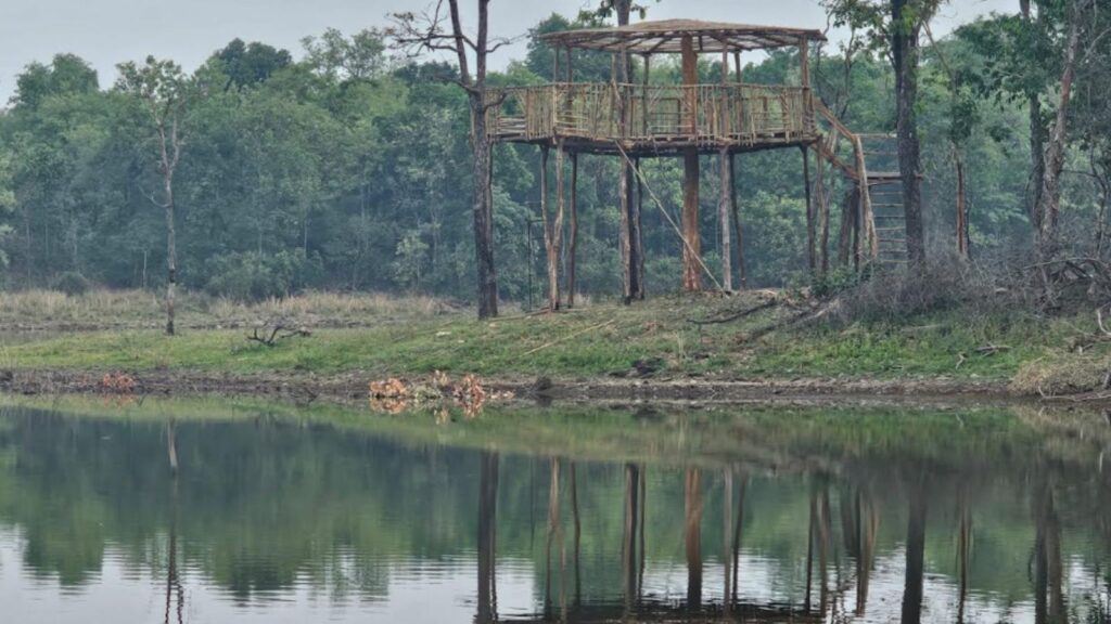 Pune Wildlife Census On Buddha Purnima Highlights Rich Biodiversity Across 12 Forest Ranges