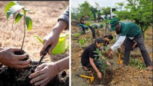 Punekars Take Charge: Local Green Groups Lead The Way To A Cleaner, Greener City