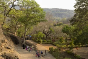 Sanjay Gandhi National Park Morning Walk Charges Trigger Backlash as Annual Pass Touches Rs 10000