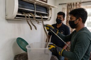 Residents Shocked After Three Snakes Found Hiding in Air Conditioner