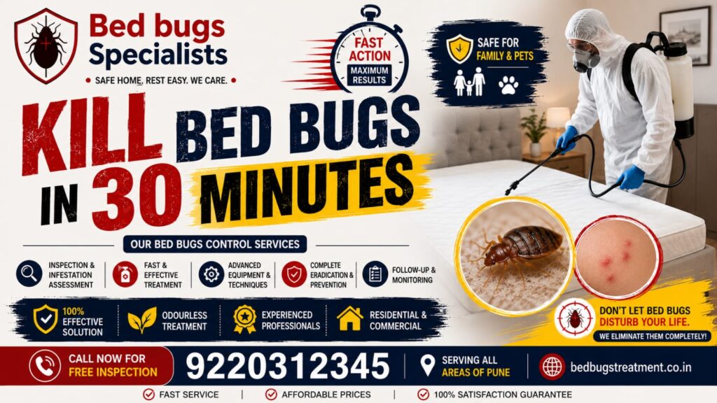 How to Get Rid of Bed Bugs in Pune Permanently