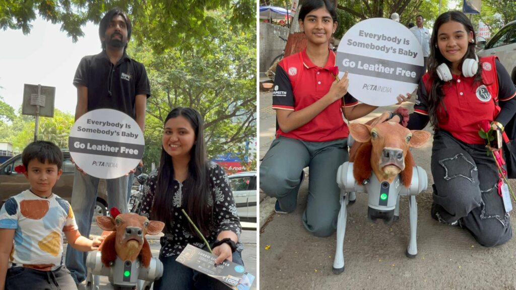 Pune: PETA India’s New Realistic-Looking AI Robot Calf Confronts Shoppers Ahead Of Mother’s Day