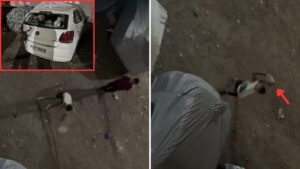 Pune: Three Parked Cars Damaged by Unidentified Group in Pimple Gurav, Videos Go Viral