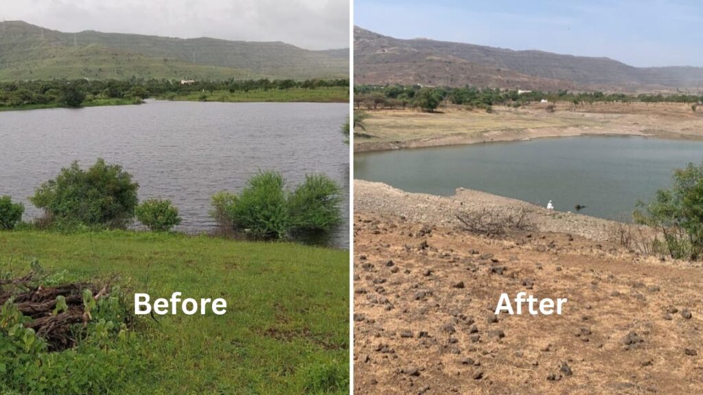 Pune: Water Level In Holkarwadi Lake Drops Sharply; Residents, Wildlife Face Growing Crisis