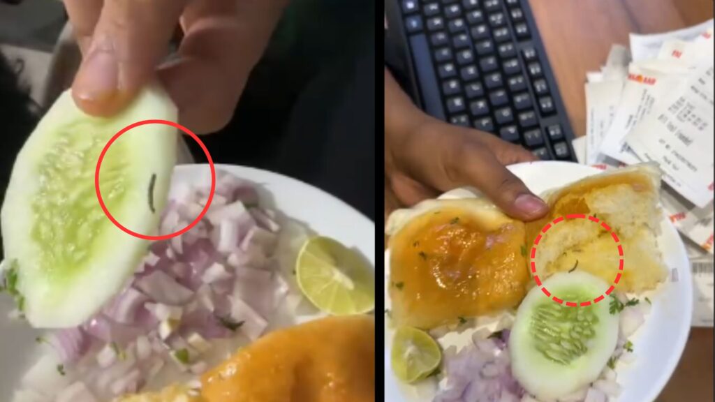 Pune: Live Worm Found In Food At Hinjawadi Falahaar Restaurant, Viral Video Triggers Hygiene Concerns