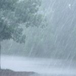 Maharashtra Weather Alert: IMD Issues Alerts For 22 Districts As Heavy Rain Likely Over Next 72 Hours 