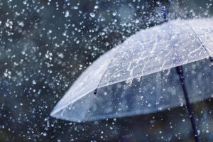 Monsoon Arrives In Andaman; IMD Says Rain To Cover Entire Maharashtra By This Date