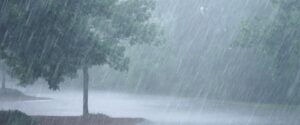 Maharashtra Rain Alert: IMD Issues Orange Alert For Vidarbha, Heavy Rain Likely In Several Districts Over Next 48 Hours
