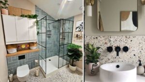 Bathroom Décor Ideas: 7 Plants That Add Style Without Extra Effort