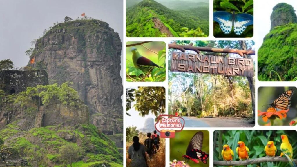 Explore Karnala Fort And Bird Sanctuary: History, Trekking And Nature In One Trip