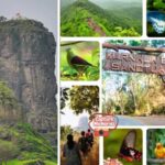 Explore Karnala Fort And Bird Sanctuary: History, Trekking And Nature In One Trip