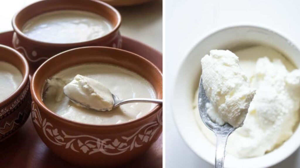 How to Get Make Curd Naturally at Home During Monsoon Season