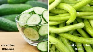Kheera vs Kakdi: Nutritional Value, Health Benefits and Daily Consumption Guide