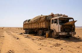 Nearly 50 Die Of Thirst In Sahara Desert After Truck Breaks Down