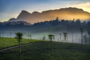 Not Munnar, Not Ooty: Anand Mahindra Highlights Valparai As A Hidden Hill Escape Away From Crowds
