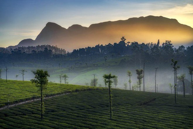 Not Munnar, Not Ooty: Anand Mahindra Highlights Valparai As A Hidden Hill Escape Away From Crowds