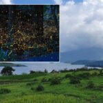 Rajmachi, Purushwadi, Bhandardara & More: Maharashtra’s Top Firefly Viewing Destinations
