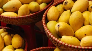 Refrigerate or Not? What to Do Once Your Mangoes Are Ripe