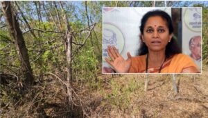 Supriya Sule Opposes PMC's Plan to Remove Nearly 1,500 Trees at Mundhwa Botanical Garden