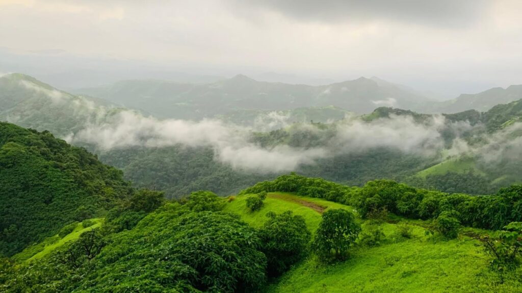 Western Ghats Protection Plan Nears Final Approval After 13 Years, 56,000 Sq Km Area to Be Protected