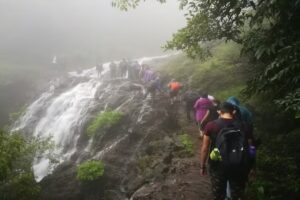 Top 7 Monsoon Treks Near Pune Within 120 km: Your Complete 2026 Guide