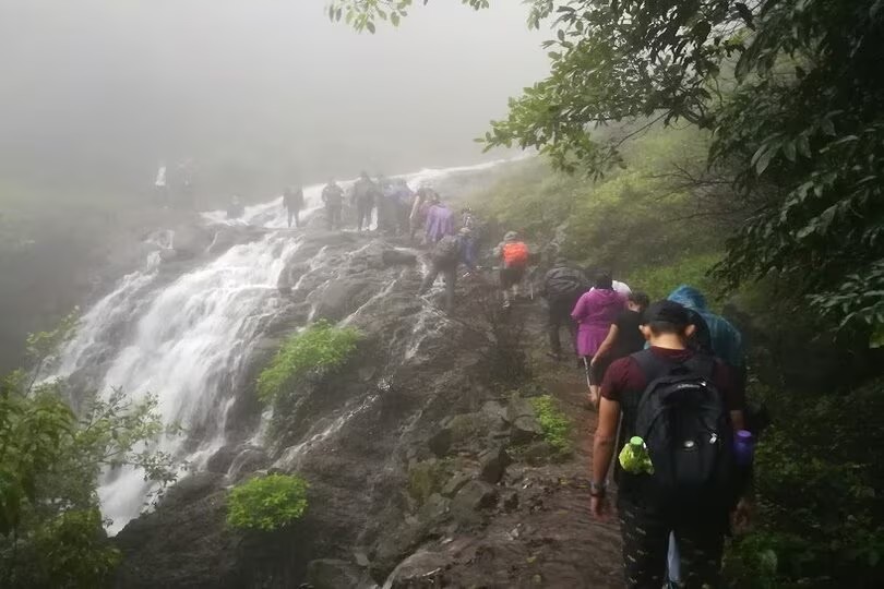 Top 7 Monsoon Treks Near Pune Within 120 km: Your Complete 2026 Guide