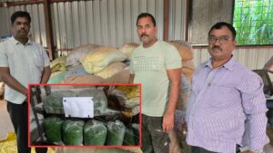 Pune FDA Action: Artificial Colour Found In Fried Green Peas, Goods Worth ₹19 Lakh Seized  