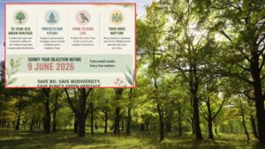 Pune Citizens Raise Objections To Proposed Felling Of 1,488 Trees At BSI Mundhwa