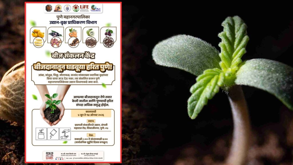 Pune: PMC Launches Seed Collection Drive; Citizens Urged To Donate Seeds Of Native Trees