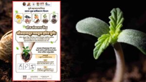 Pune: PMC Launches Seed Collection Drive; Citizens Urged To Donate Seeds Of Native Trees