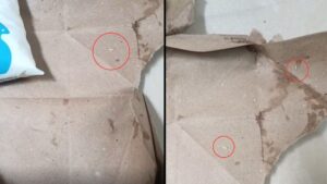 Pune Customer Alleges Finding Worms In Instamart Delivery, Claims Inadequate Response From Support Team