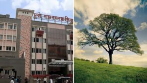 Pune: Bombay High Court PIL Challenges PMC, PCMC Over Non-Formation Of Tree Authorities; Seeks Stay On Commissioners’ Decisions